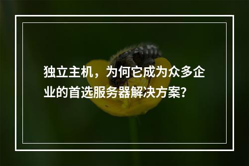 独立主机,为何它成为众多企业的首选服务器解决方案?