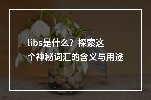 libs是什么?探索这个神秘词汇的含义与用途