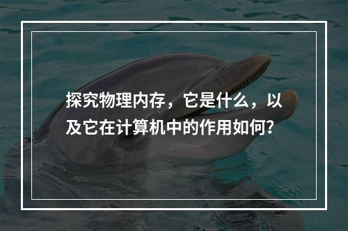 探究物理内存,它是什么,以及它在计算机中的作用如何?