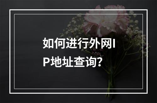 如何进行外网IP地址查询?