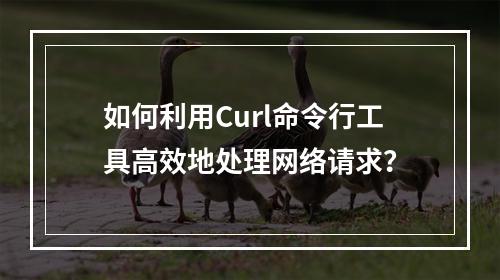 如何利用Curl命令行工具高效地处理网络请求?