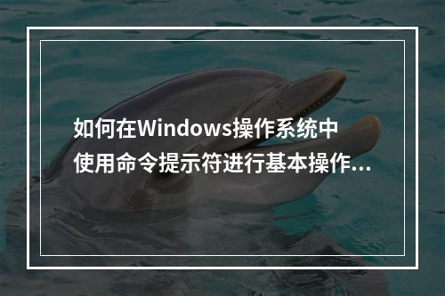 如何在Windows操作系统中使用命令提示符进行基本操作?