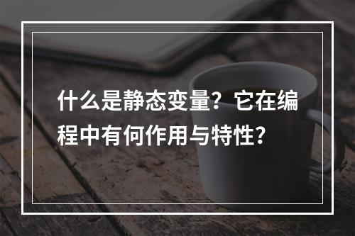 什么是静态变量?它在编程中有何作用与特性?