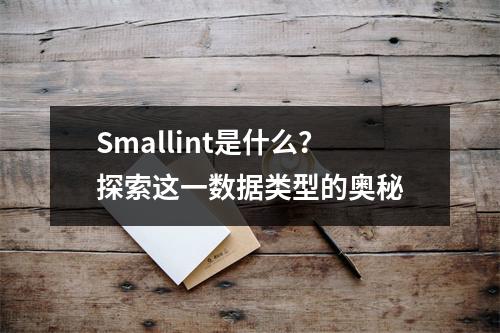 Smallint是什么?探索这一数据类型的奥秘