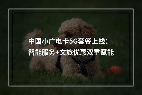 中国小广电卡5G套餐上线：智能服务+文旅优惠双重赋能