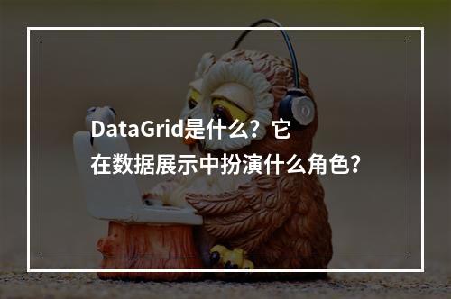 DataGrid是什么?它在数据展示中扮演什么角色?