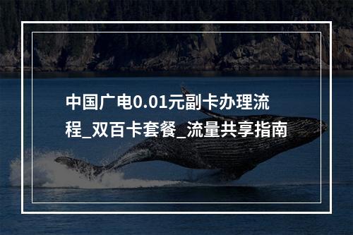 中国广电0.01元副卡办理流程_双百卡套餐_流量共享指南
