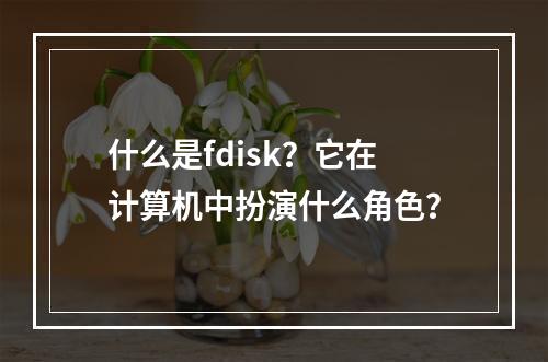 什么是fdisk?它在计算机中扮演什么角色?