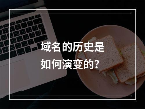 域名的历史是如何演变的?