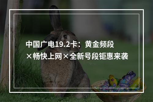 中国广电19.2卡：黄金频段×畅快上网×全新号段钜惠来袭