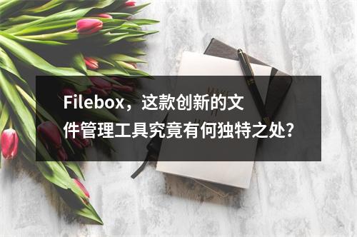 Filebox,这款创新的文件管理工具究竟有何独特之处?