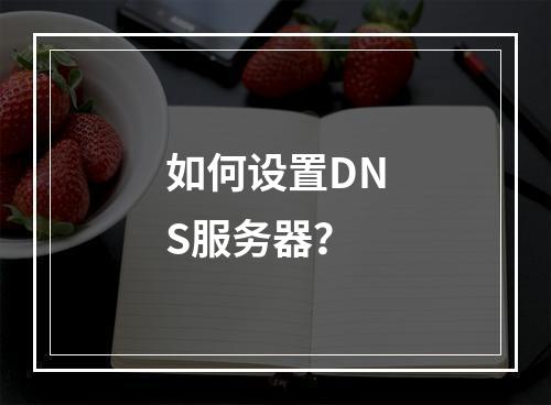 如何设置DNS服务器?