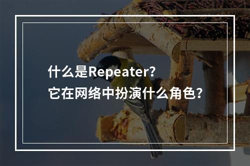 什么是Repeater?它在网络中扮演什么角色?