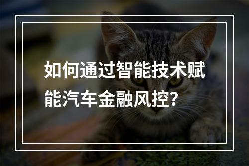 如何通过智能技术赋能汽车金融风控?