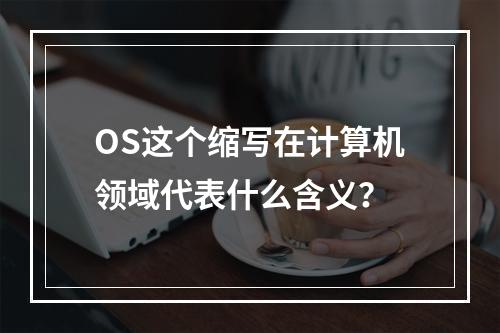 OS这个缩写在计算机领域代表什么含义?