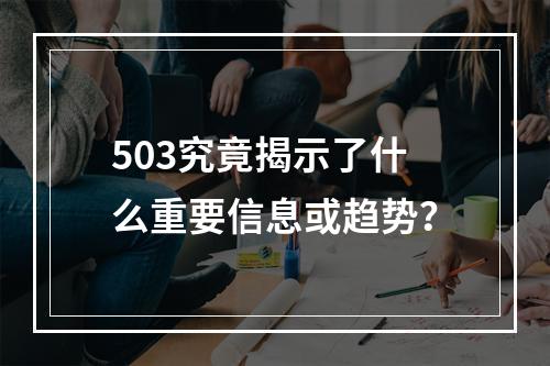 503究竟揭示了什么重要信息或趋势?
