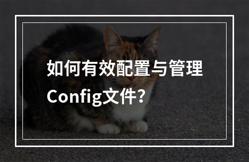如何有效配置与管理Config文件?