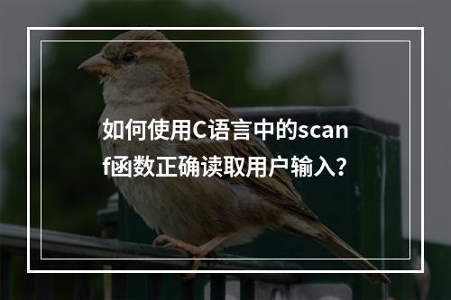 如何使用C语言中的scanf函数正确读取用户输入?