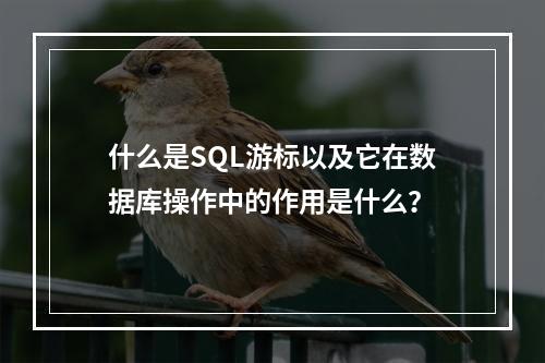 什么是SQL游标以及它在数据库操作中的作用是什么?
