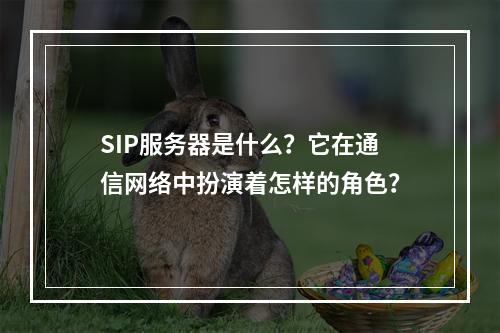 SIP服务器是什么?它在通信网络中扮演着怎样的角色?