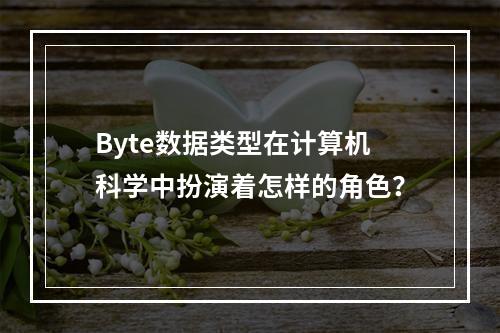 Byte数据类型在计算机科学中扮演着怎样的角色?