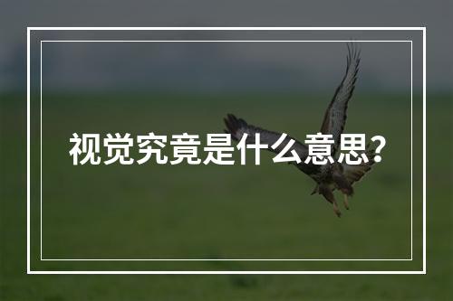 视觉究竟是什么意思?