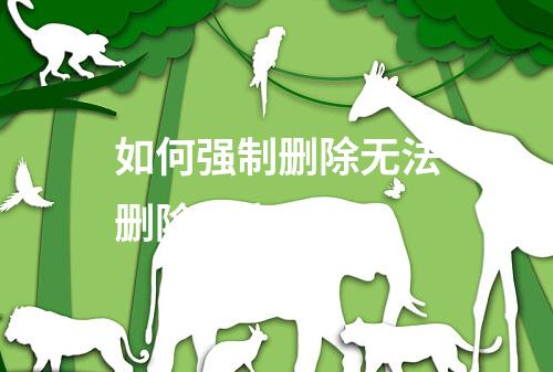 如何强制删除无法删除的文件夹?