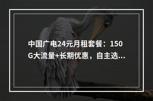 中国广电24元月租套餐：150G大流量+长期优惠，自主选号畅享