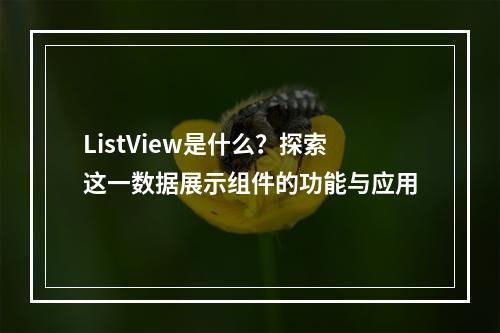 ListView是什么?探索这一数据展示组件的功能与应用