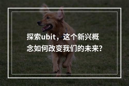 探索ubit,这个新兴概念如何改变我们的未来?