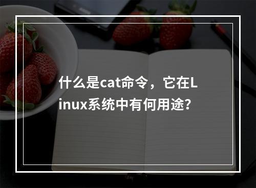 什么是cat命令,它在Linux系统中有何用途?