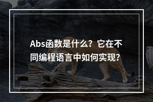 Abs函数是什么?它在不同编程语言中如何实现?