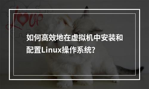 如何高效地在虚拟机中安装和配置Linux操作系统?
