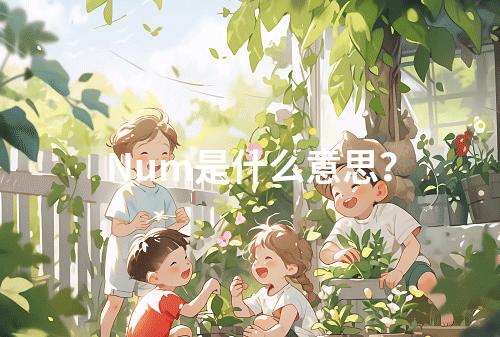 Num是什么意思?