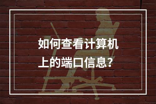 如何查看计算机上的端口信息?