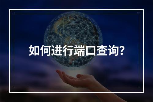 如何进行端口查询?
