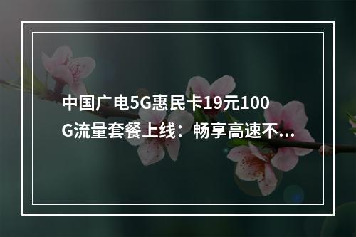 中国广电5G惠民卡19元100G流量套餐上线：畅享高速不限速