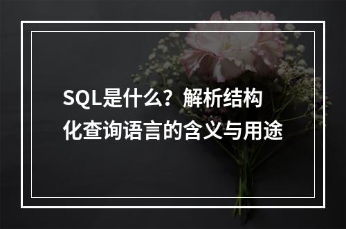 SQL是什么?解析结构化查询语言的含义与用途