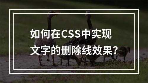 如何在CSS中实现文字的删除线效果?