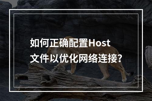 如何正确配置Host文件以优化网络连接?