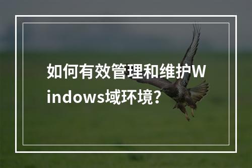 如何有效管理和维护Windows域环境?