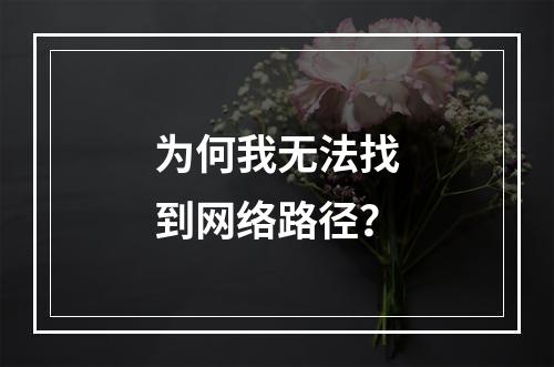 为何我无法找到网络路径?