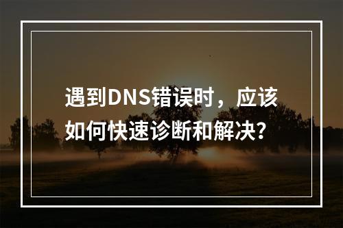 遇到DNS错误时,应该如何快速诊断和解决?
