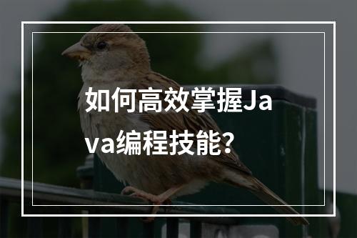 如何高效掌握Java编程技能?