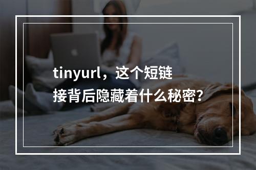 tinyurl,这个短链接背后隐藏着什么秘密?