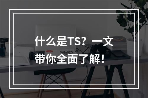 什么是TS?一文带你全面了解!