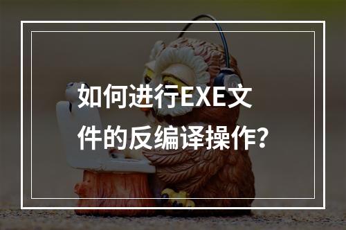 如何进行EXE文件的反编译操作?