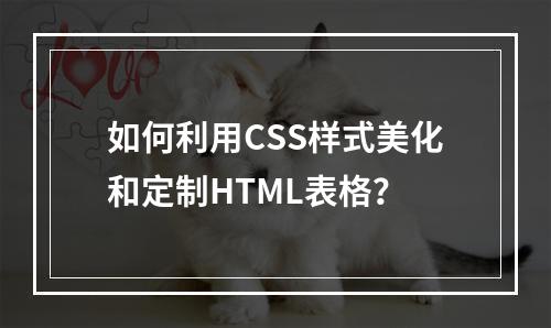 如何利用CSS样式美化和定制HTML表格?