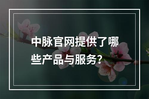 中脉官网提供了哪些产品与服务?