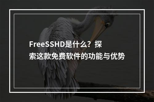 FreeSSHD是什么?探索这款免费软件的功能与优势